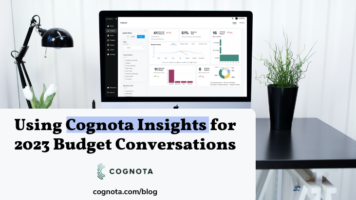 new Cognota insights dashboard